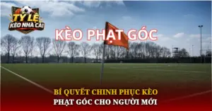 Bi Quyet Chinh Phuc Keo Phat Goc Cho Nguoi Moi Img 1