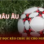Bí Quyết Đọc Kèo Châu Âu Cho Người Mới 2 Bi Quyet Doc Keo Chau Au Cho Nguoi Moi Img 1