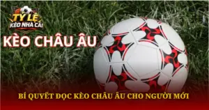 Bi Quyet Doc Keo Chau Au Cho Nguoi Moi Img 1