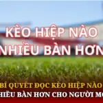 Bí Quyết Đọc Kèo Hiệp Nào Nhiều Bàn Hơn Cho Người Mới 7 Bi Quyet Doc Keo Hiep Nao Nhieu Ban Hon Cho Nguoi Moi Img 1