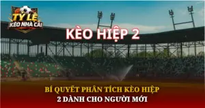 Bi Quyet Phan Tich Keo Hiep 2 Danh Cho Nguoi Moi Img 1