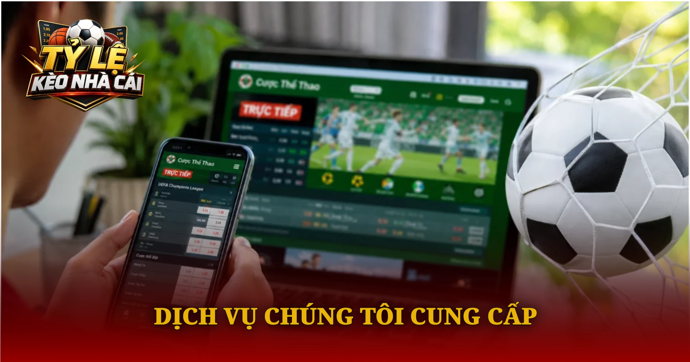 Dịch Vụ Chúng Tôi Cung Cấp