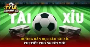 Huong Dan Doc Keo Tai Xiu Chi Tiet Cho Nguoi Moi Img 1