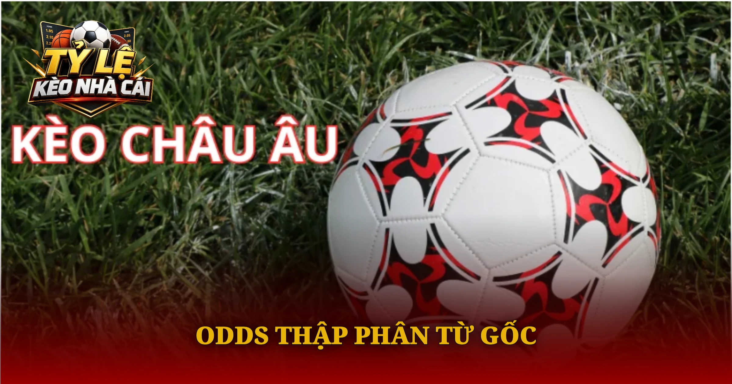 Bí Quyết Đọc Kèo Châu Âu Cho Người Mới 1 Odds Thập Phân Từ Gốc