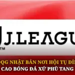 Vdqg Nhat Ban Noi Hoi Tu Dinh Cao Bong Da Xu Phu Tang Img 1