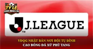 Vdqg Nhat Ban Noi Hoi Tu Dinh Cao Bong Da Xu Phu Tang Img 1