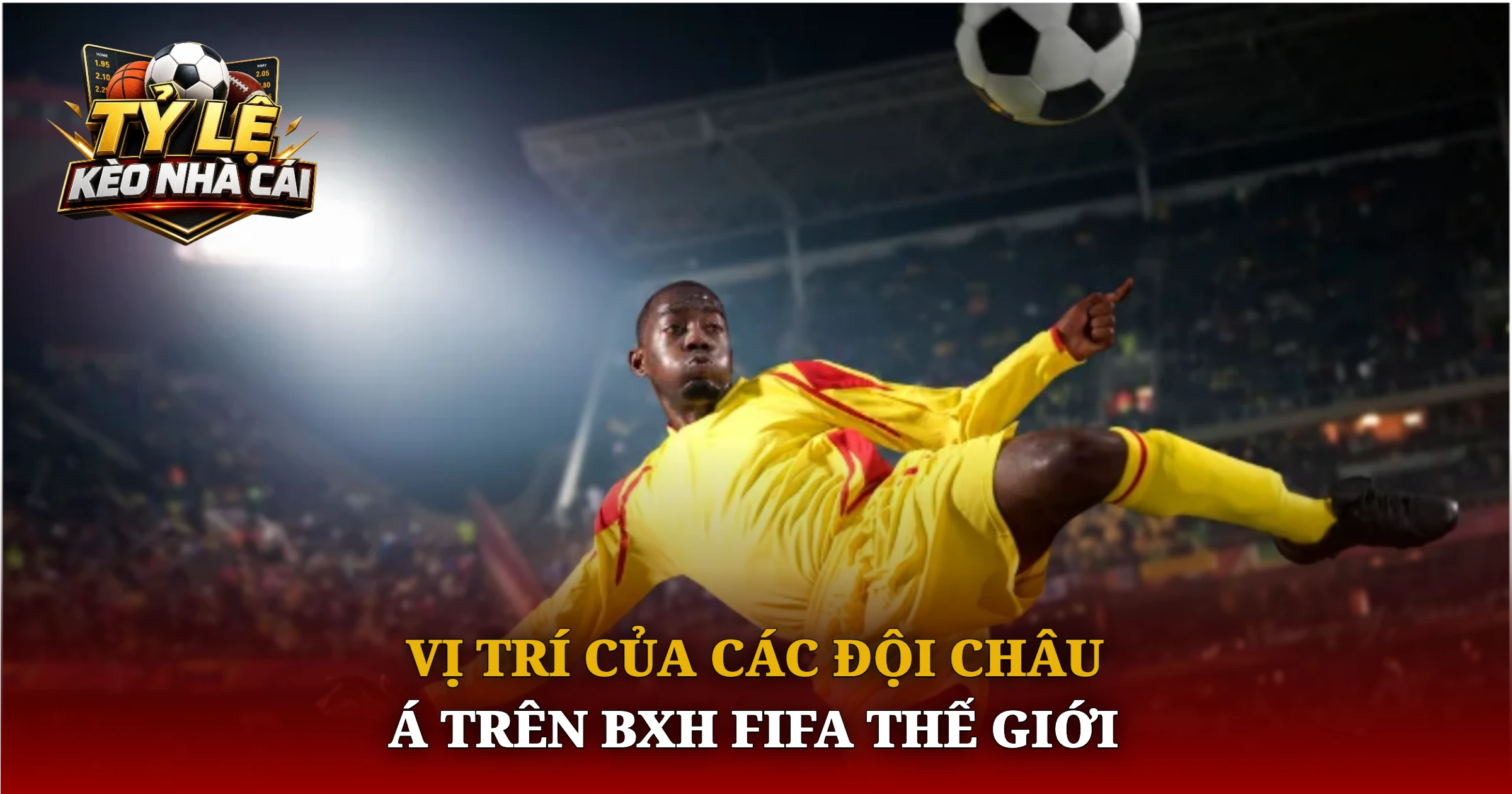 BXH FIFA Thế Giới Cập Nhật Mới Nhất Mùa Giải 2026 3 Vị Trí Của Các Đội Châu Á Trên BXH FIFA Thế Giới